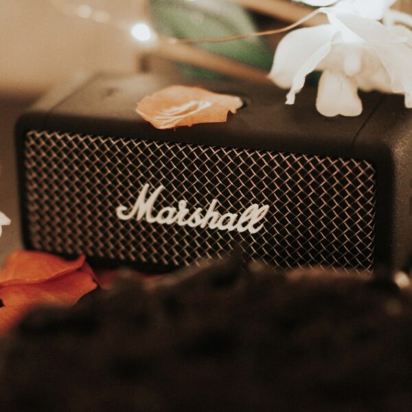 This is the Best Discounted Marshall Emberton Speaker!